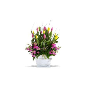 Tulipanes encanto