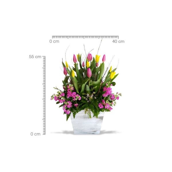 Tulipanes encanto - Image 2